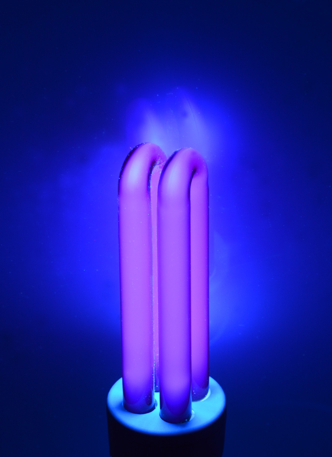 High intensity on sale black light