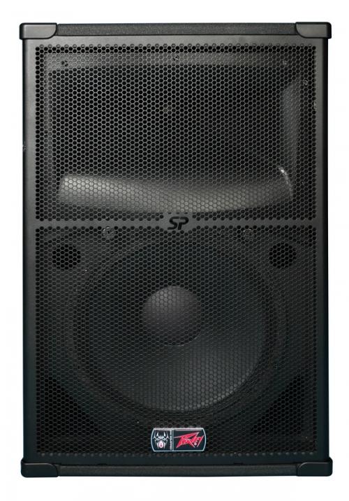 Peavey SP 2 Passive PA Speaker 1000W - djkit.com